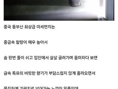 미쳐버린 미세먼지 갤러리