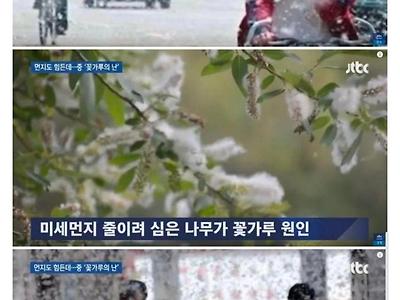 미세먼지 줄이려고 나무심었던 중국 근황