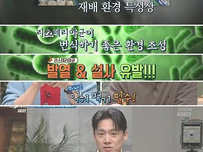 모든 버섯은 무조건 익혀서 먹어야 한다
