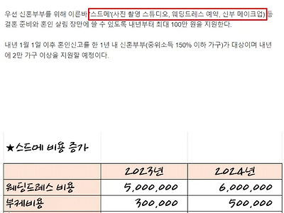 정부가 결혼식 스드메 비용 100만원 지원해주면 벌어지는 일