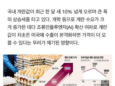 미국 "월에 1억개씩 계란 보내라" 한국 '초비상'