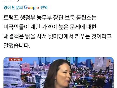 속보) 미국 농무부장관이 밝힌 계란값 내리는 법ㄷㄷㄷㄷ....jpg