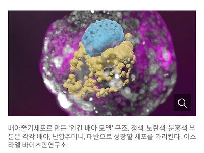 정자와 난자없이 배아를 만든 이스라엘 연구진