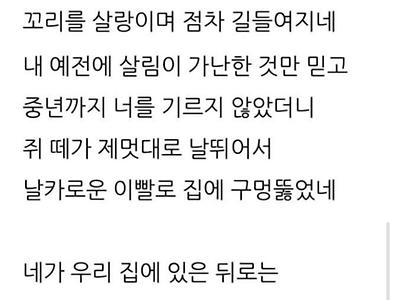 고려시대 냥줍