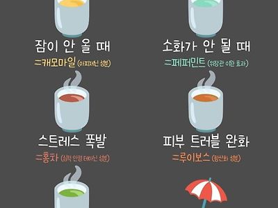 증상별 마시면 좋은 차