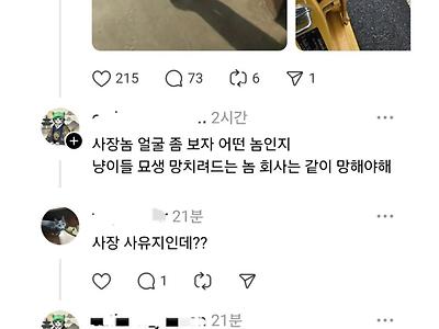 논리적인 캣맘 등장...jpg