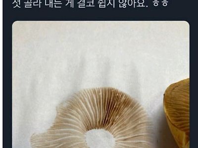 한 교수님의 독버섯 구분법.jpg