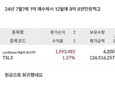 테슬라 투자자의 원금 회귀 ㄷㄷ