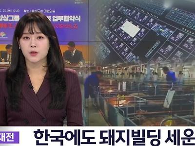 충남 '돼지빌딩' 추진...동물단체 반발