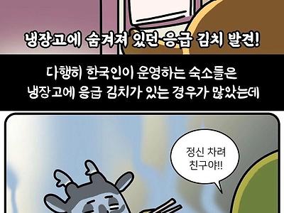 [기타] 	        해외여행 필수품