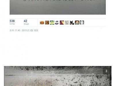 주작을 안하면 일뽕을 못함 촌