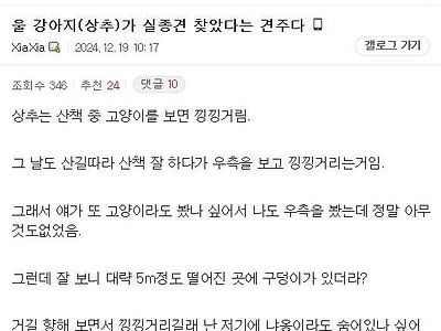 20일동안 실종된 개를 구조한 강아지.jpg