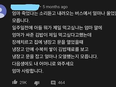 엄마 죽었다는 소리듣고 버스에서 울었다는 사람