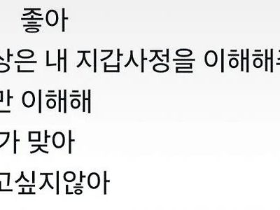 다이소밖에 날 이해해주지 않아