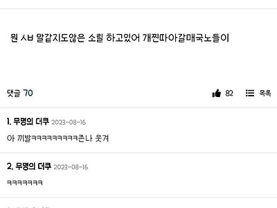 애국을 대부분 아가리로하지 ㅅㅂ