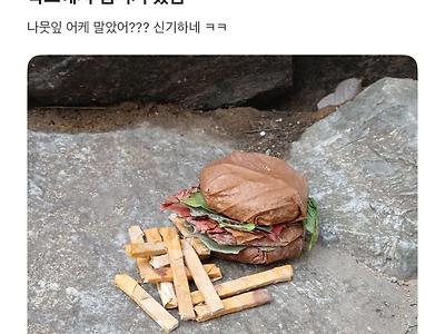 홍대 에타에 올라온 햄버거.jpg