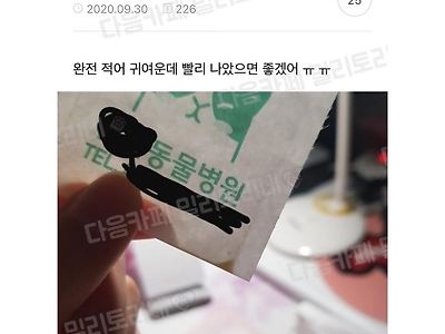 우리 햄찌 처방 받은 약 양 좀 봐