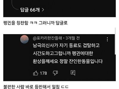 인간한테 길막 당한 펭귄의 놀라운 반응