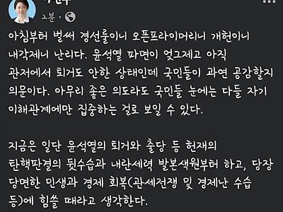 퇴마된 이언주의 개헌 관련 입장.jpg