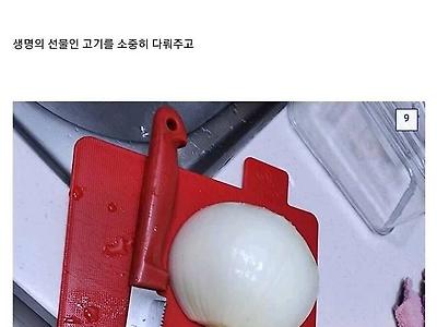 역대급 로드킬 ㄷㄷㄷㄷ