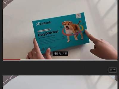 시골에서 데려 온 개가 100퍼 순혈견