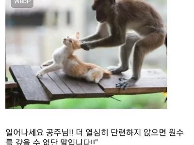 "싫엇...! 원숭이 아저씨...! 어째서...!!!"