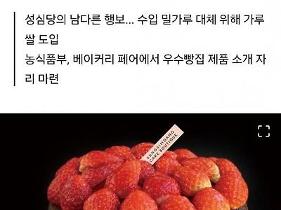 충격.... 성심당 딸기시루 시트 원산지정체 .png