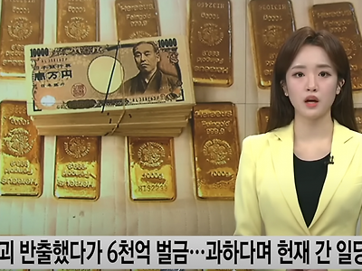 "6천억 벌금, 너무 가혹해"
