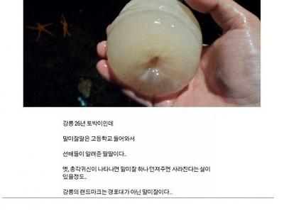 19) 강릉에서 전해진다는 공포의 자연산 오나홀.jpg