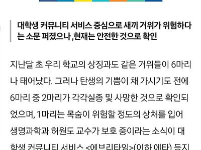 포텐 간 카이스트 거위들 털바퀴 습격 당한건 포도.jpg