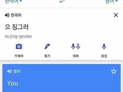 구글 번역기 사용중 뼈 맞음