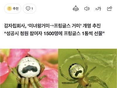 프링글스 거미
