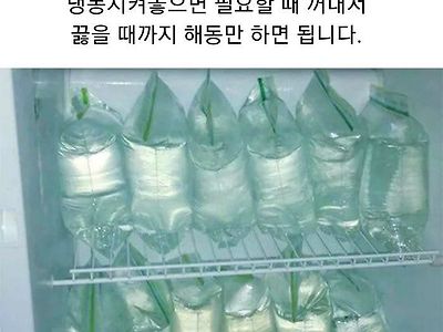 매번 물 끓이기 번거로울때 꿀팁