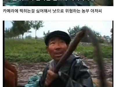 씨벌놈아 카메라 안치워?의 진실