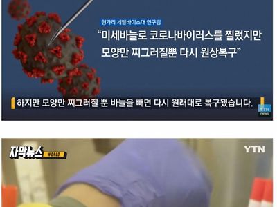 중국산중 내구도가 가장 좋은 제품