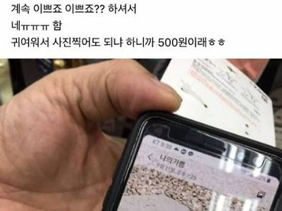 다이소에서 강아지 목줄 고르는데 아저씨가