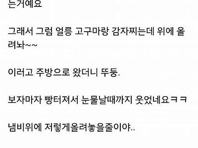 코딩 실패한 남편 레전드