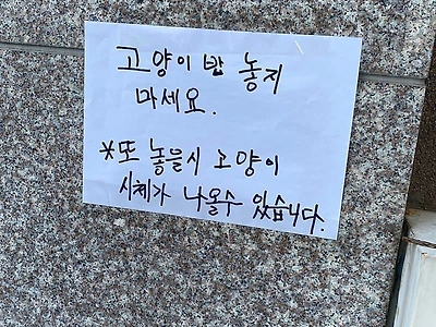 상남자식 캣맘 대처법.jpg