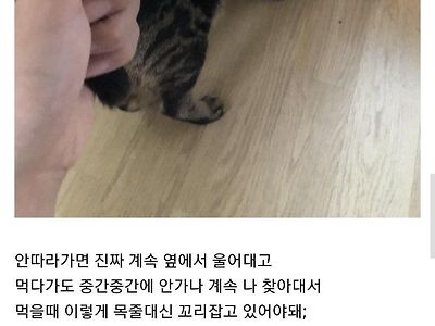 혼밥 절대 못해서 밥먹을때 꼭 누군가와 함께있어야 먹는 타입