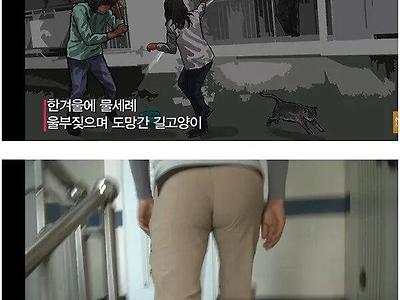 캣맘에게 물총을 쏜 아저씨