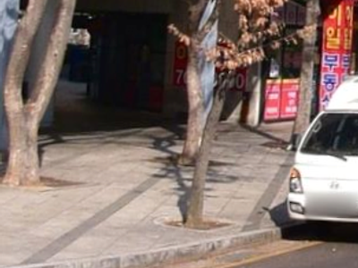 시진핑 중국집 3월에 문닫음 ㄷㄷ