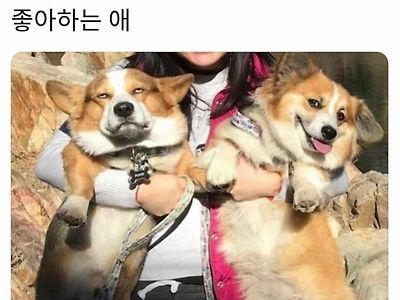 안고 다니는거 싫어 하는 애 VS 좋아하는 애