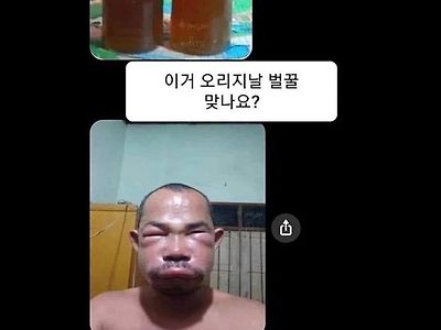 정직한 벌꿀 판매자.jpg