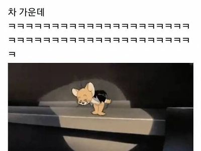 자동차에서 가장 시원한 곳은?