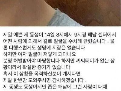 여동생을 이용한 광역어그로