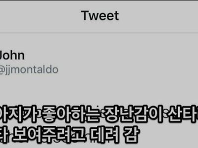 성공한 댕댕이