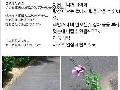 콘크리트 틈에서도 피는 꽃을 보며 힘을 얻었다는 일본 아이돌