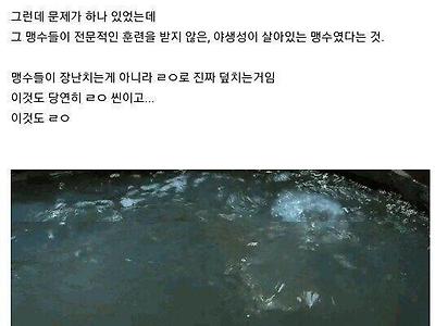 영화 역사에 남은 희대의 괴작