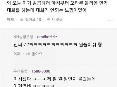 원신 콜라보 체크카드 블라인드 반응