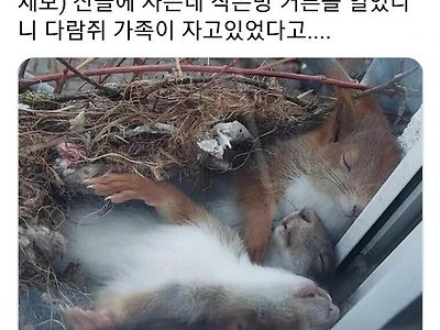 산골집에서 커튼을 걷어 봤더니